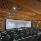 College Football Hall of Fame