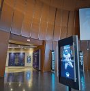 College Football Hall of Fame