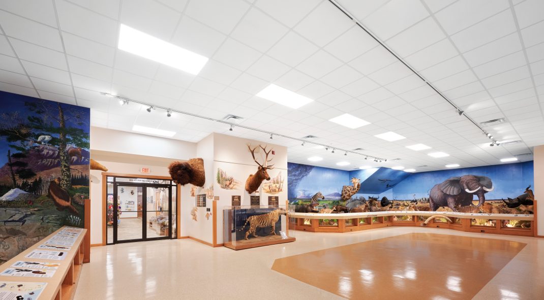 Nixon Park Nature Center Renovation
