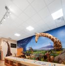 Nixon Park Nature Center Renovation