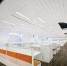 Bayer Interventional